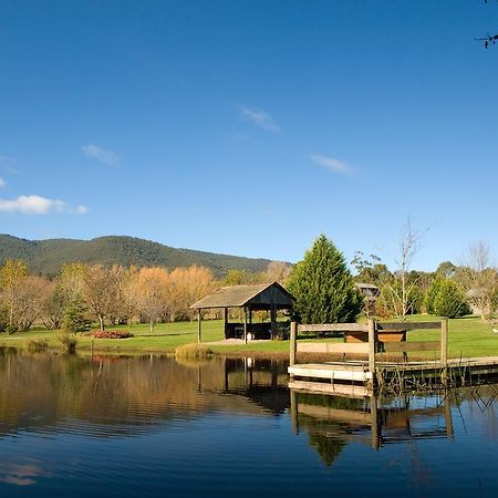 Sanctuary Park Cottages Healesville Exteriör bild