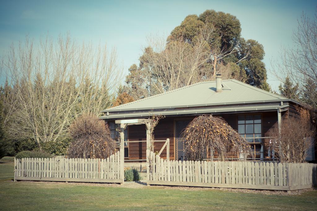Sanctuary Park Cottages Healesville Exteriör bild