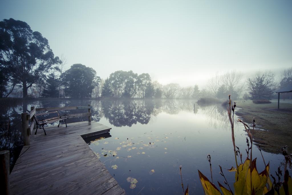Sanctuary Park Cottages Healesville Exteriör bild