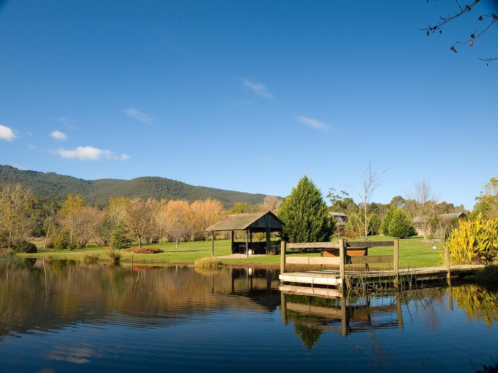 Sanctuary Park Cottages Healesville Exteriör bild