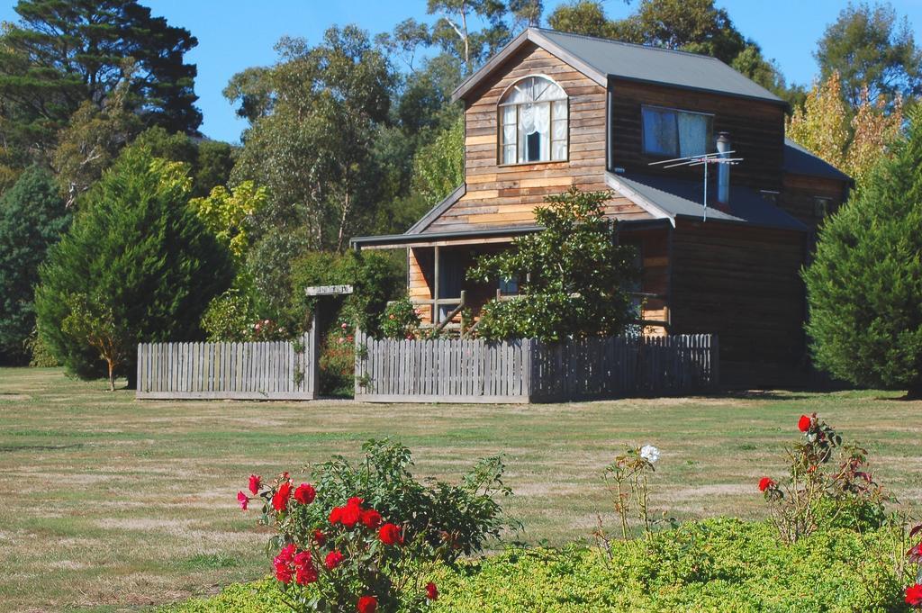Sanctuary Park Cottages Healesville Rum bild