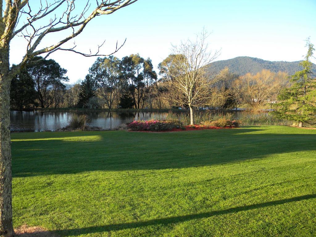 Sanctuary Park Cottages Healesville Exteriör bild